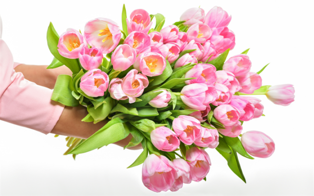 Lima Toko Bunga Ciledug Tangerang, Jual Florist Buket Murah