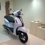 5 Sewa Motor Jepara Untuk Menunjang Transportasimu Selama Liburan ke Karimunjawa, Harganya Start From 75K 2023.