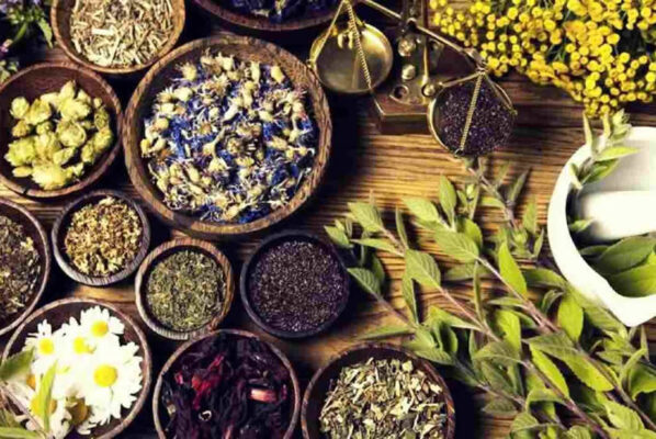 Toko Herbal di Padang yang Bisa Jadi Solusi Ketika Asam Urat Melanda 2023.
